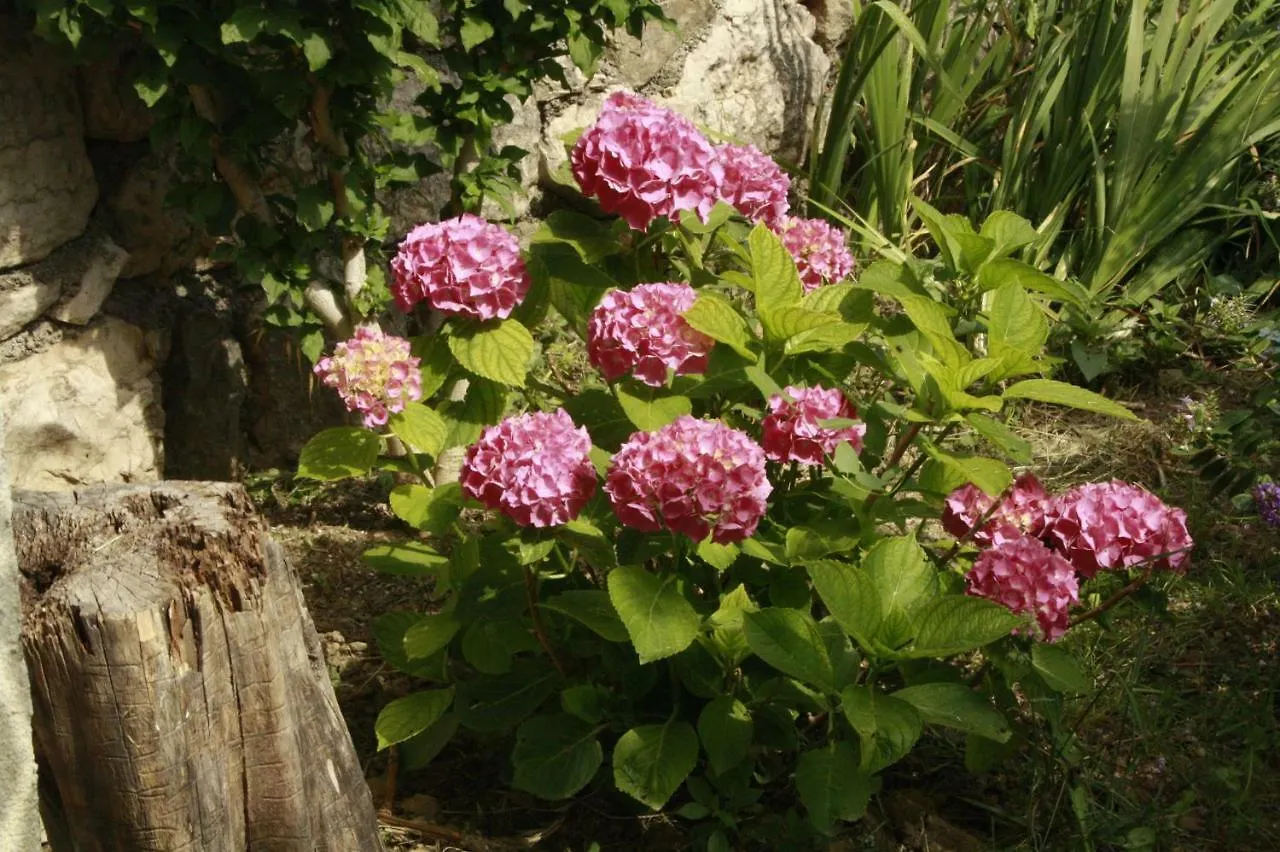 Banjol Guesthouse Matusan'S Place בית הארחה